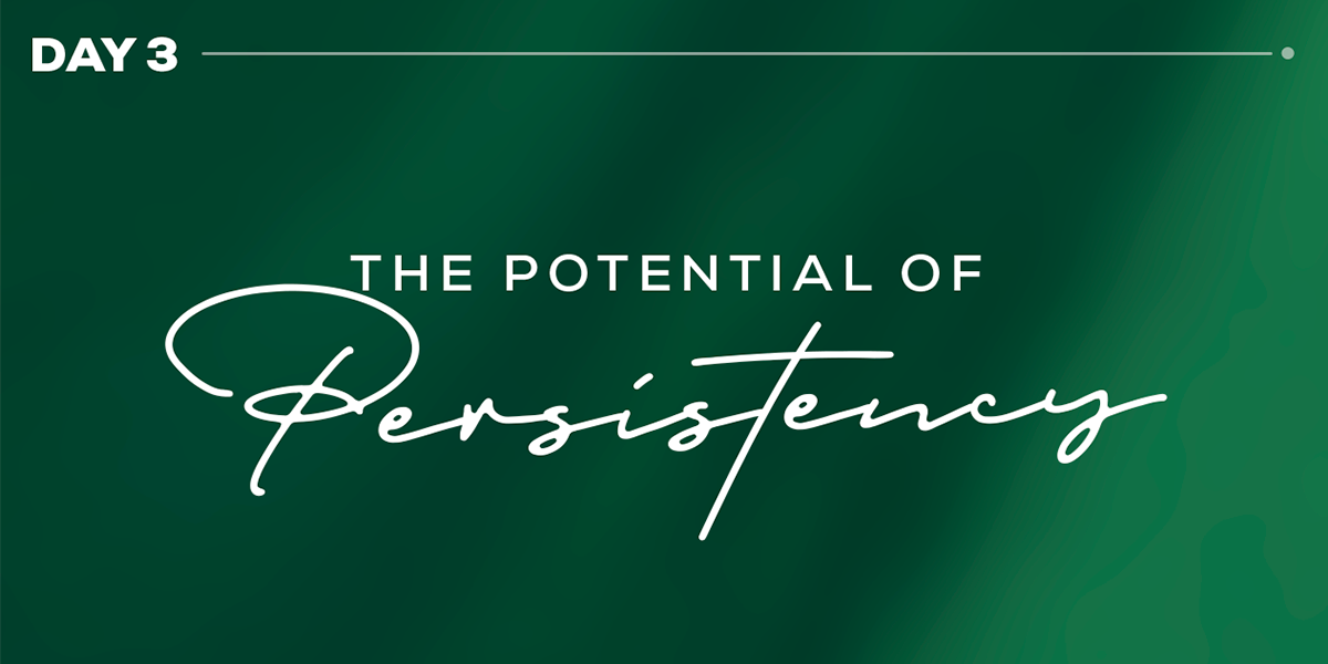 The Potential of Persistency