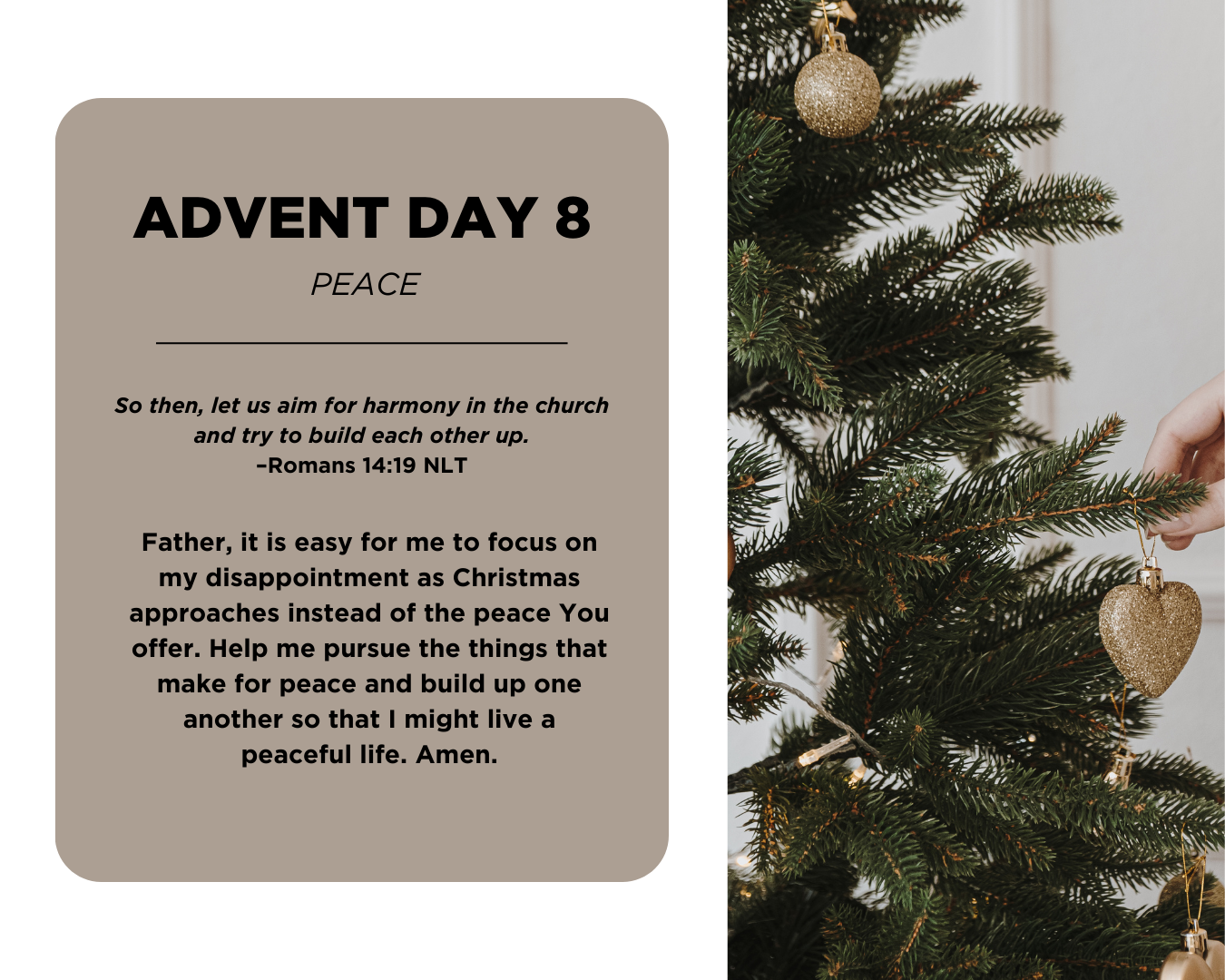 advent day 8