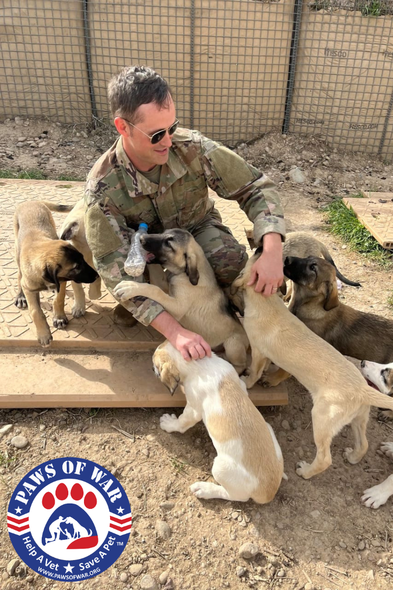 Smiling soldier surrounded by puppies