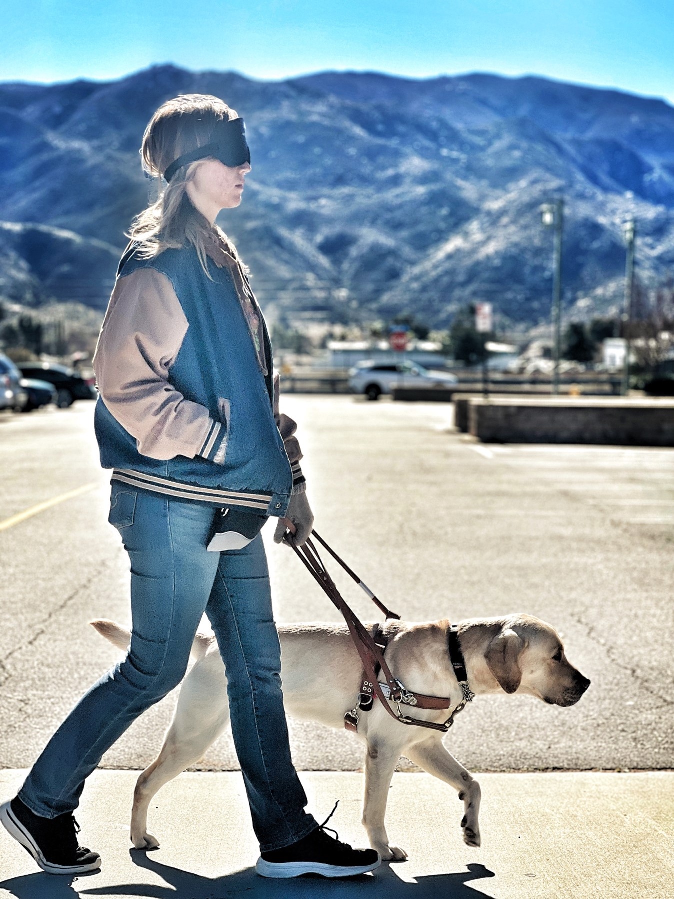 Woman wearing blindfold allows guide dog to take her across street