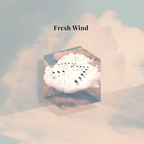 Generic album image for missing album artwork
