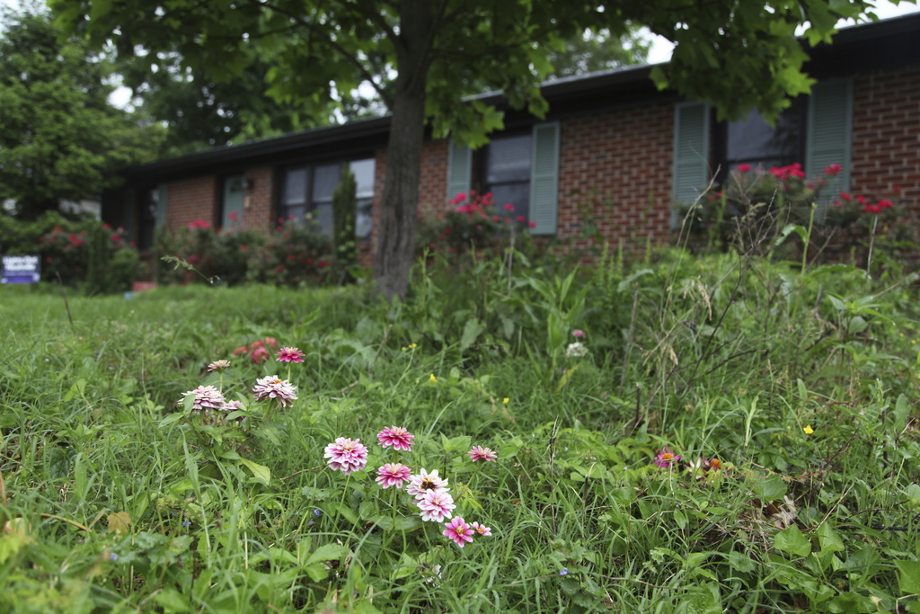 Flowers and tall grass cover the lawn of Amanda Beltranmini Healen in Nashville, Tenn.