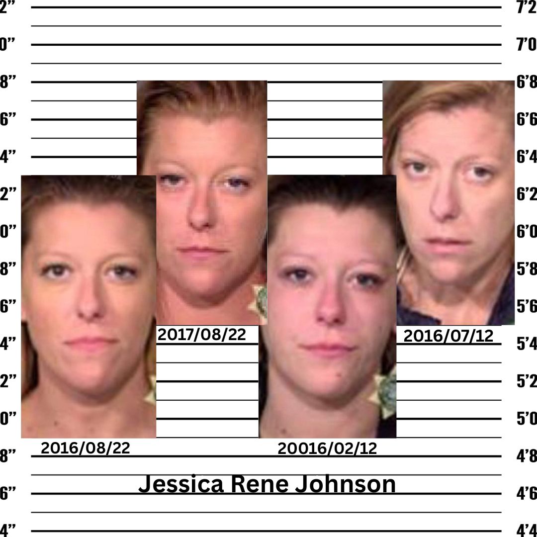 Jessica Rene Johnson mugshots