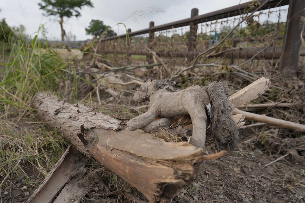 A toy horse lies by a fallen tree limbs and debris in Kerrville, Texas