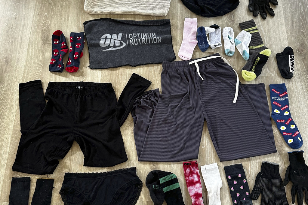 Some of the things the haul Leo the laundry-stealing cat has taken 