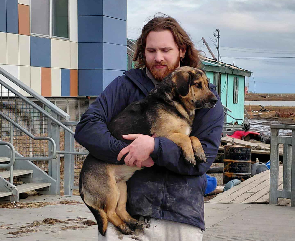 Dog is rescued in Kipnuk, Alaska, to be flown to an animal shelter in Bethel, Alaska, as its owner had evacuated