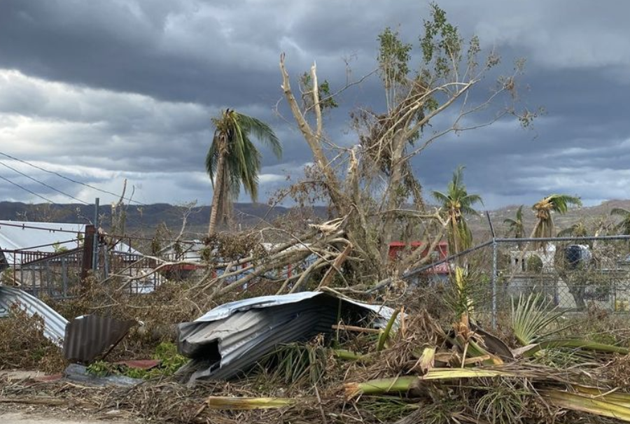 Wrecked palm trees and broken houses
