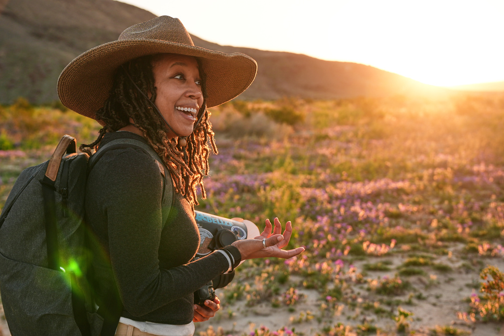 Photographer Krystle Hickman photographs wild bees as desert sunflowers blanket the valley floor 
