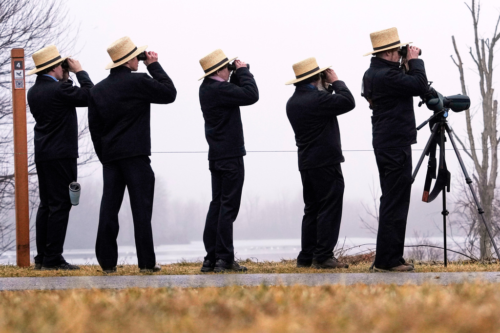 Amish birders focus their binoculars on waterfowl at Middle Creek Wildlife Management Area