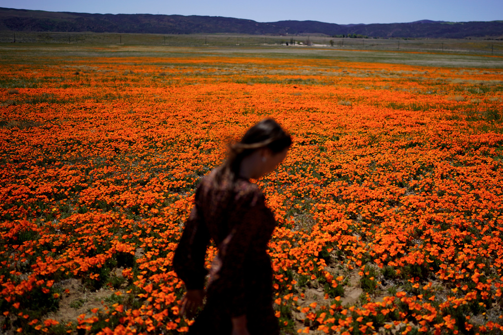 2026 Allergy Season Underway For Some Of Us - Ideas To Cope 