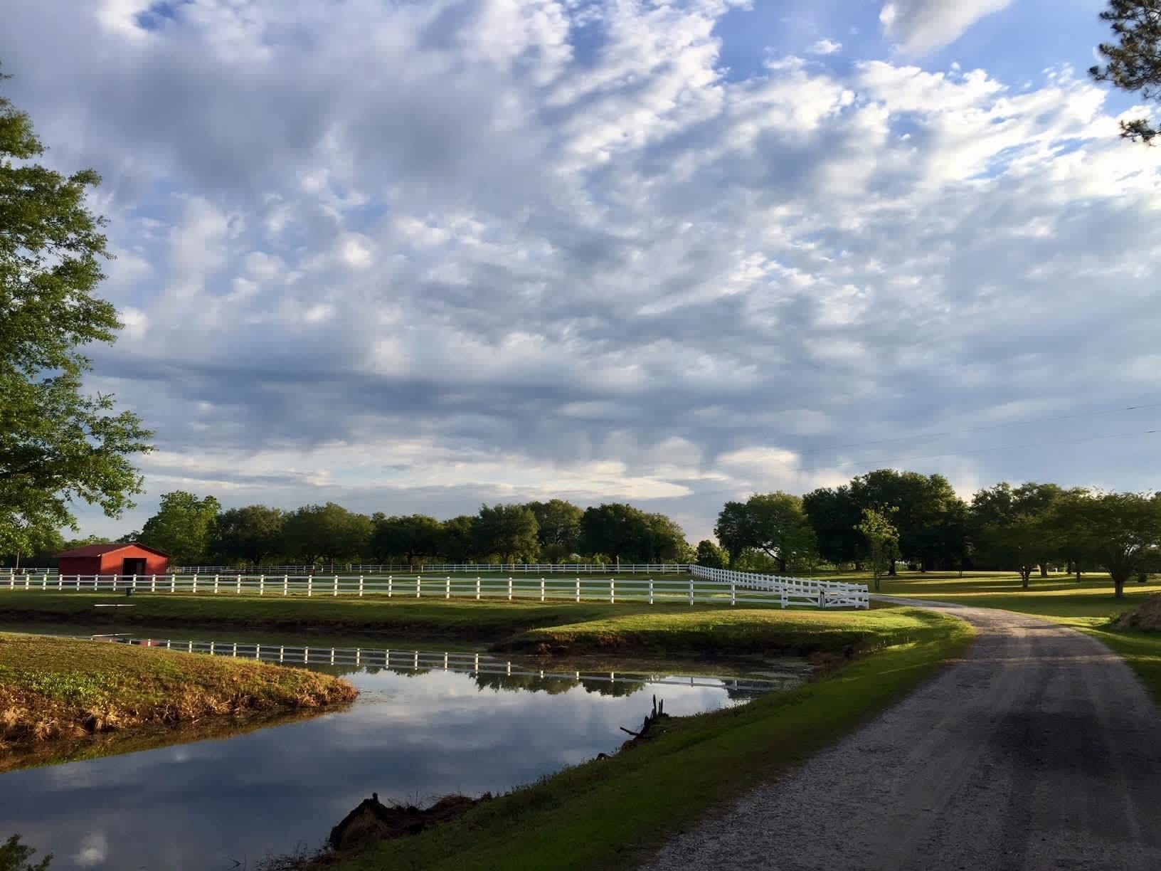 Director Of Boys' Ranch, Steven, Looks Back At A Tough Life But ...