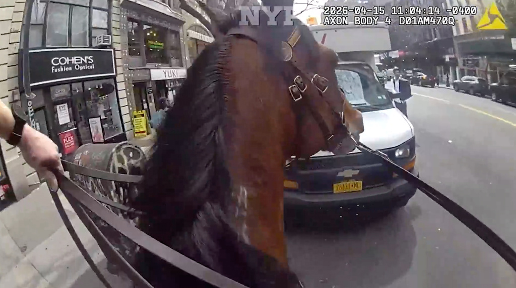 Corralled! Mounted New York Police Officer Corner Suspected Purse Snatcher In Manhattan