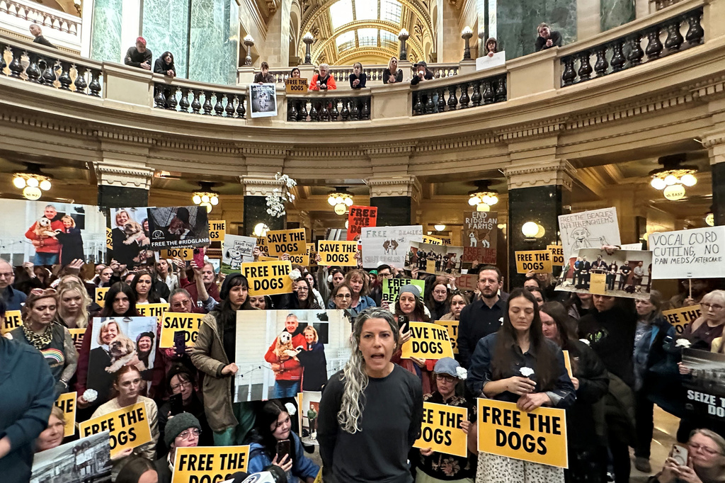 Animal rights activists converge at the Wisconsin State Capitol to demand that the governor and attorney general do what they can to shut down a beagle breeding and research facility