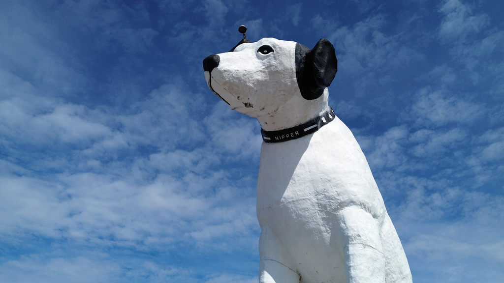 Nipper dog