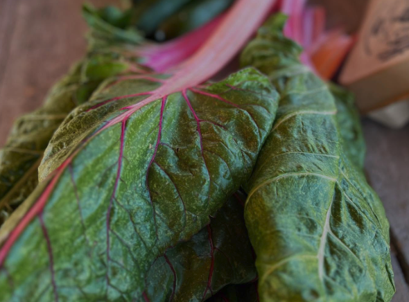Swiss chard