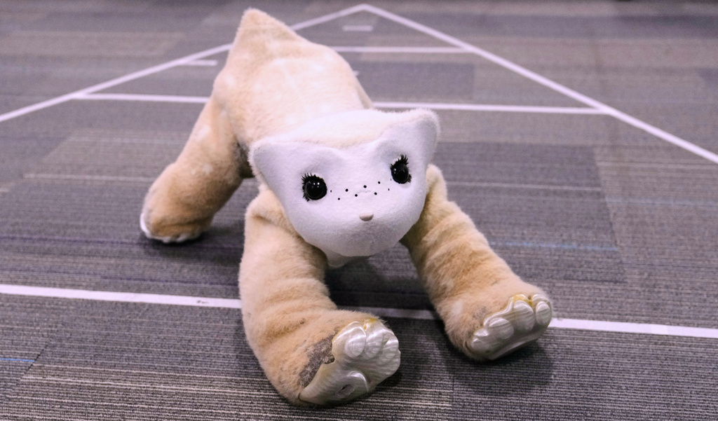 Familiar, an AI pet robot, interacts during a demonstration at the Massachusetts-based startup Familiar Machines & Magic