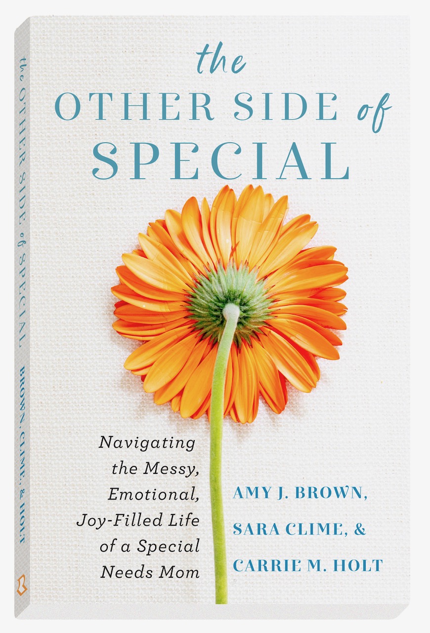Carrie Holt book 