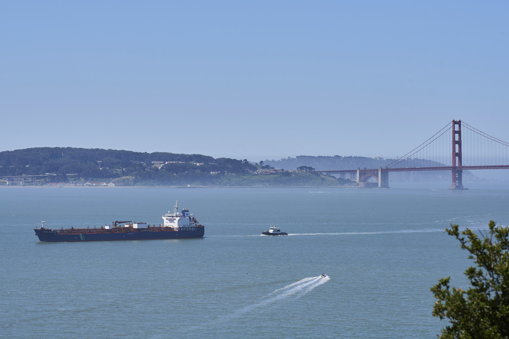 West Coast Uses AI To Help Ships Avoid Whales, 40% Of Lost Whales Due To Ship Collisions  