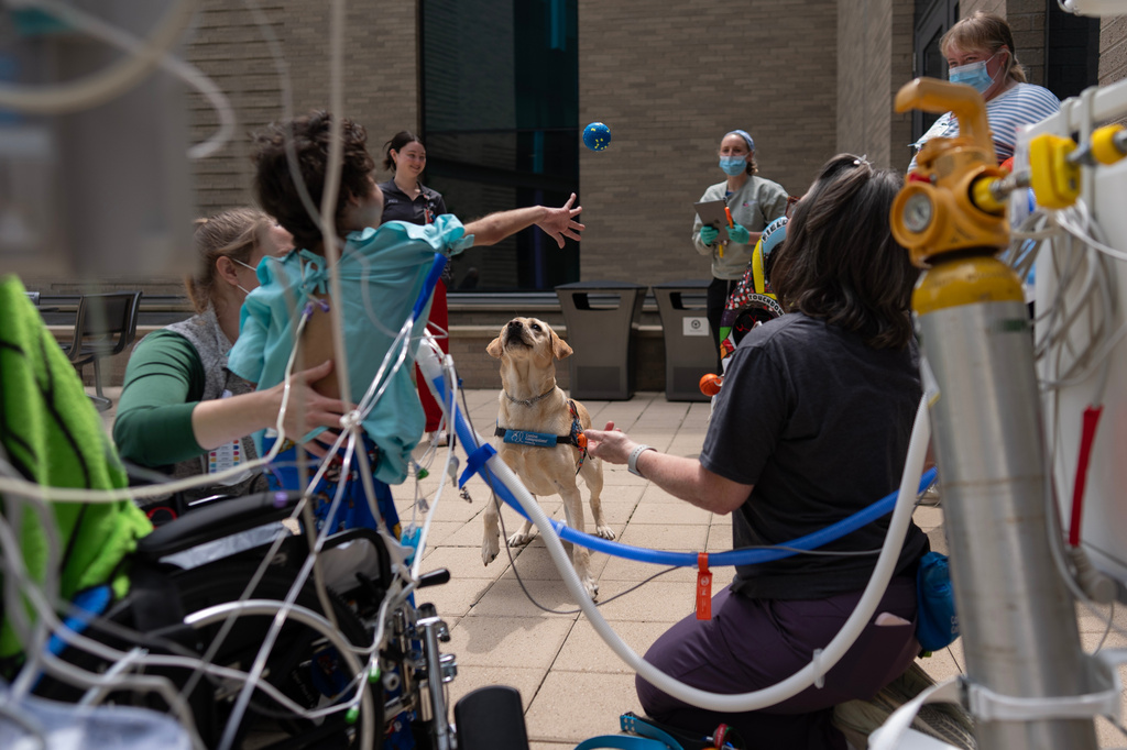More Children's Hospitals Allowing Therapy Dogs To Encourage 