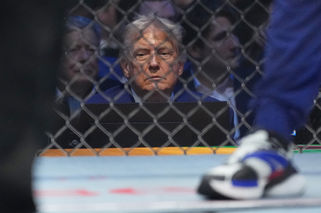President Trump UFC White House