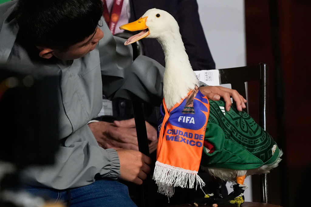 'Merlin The Duck' Gets A FIFA Moment Of Fame 