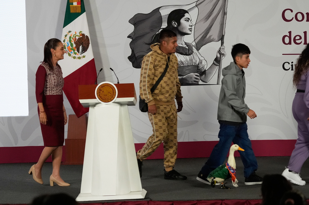 Merlin the duck, dressed in a Mexican national soccer team jersey, bottom right, enters the daily press conference by Mexican President Claudia Sheinbaum, left, with his caretakers, brothers Carlos and Christian Gomez, at the National Palace in Mexico City