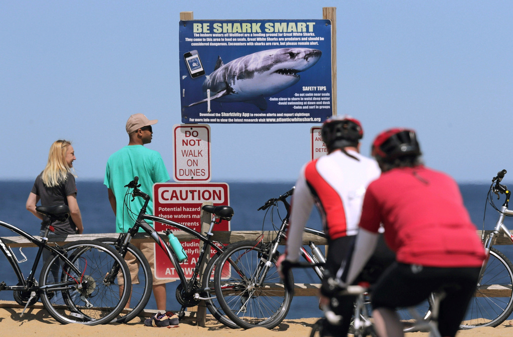 A sign warns beachgoers about sharks at Lecount Hollow Beach May 22, 2019 in Wellfleet, Mass.