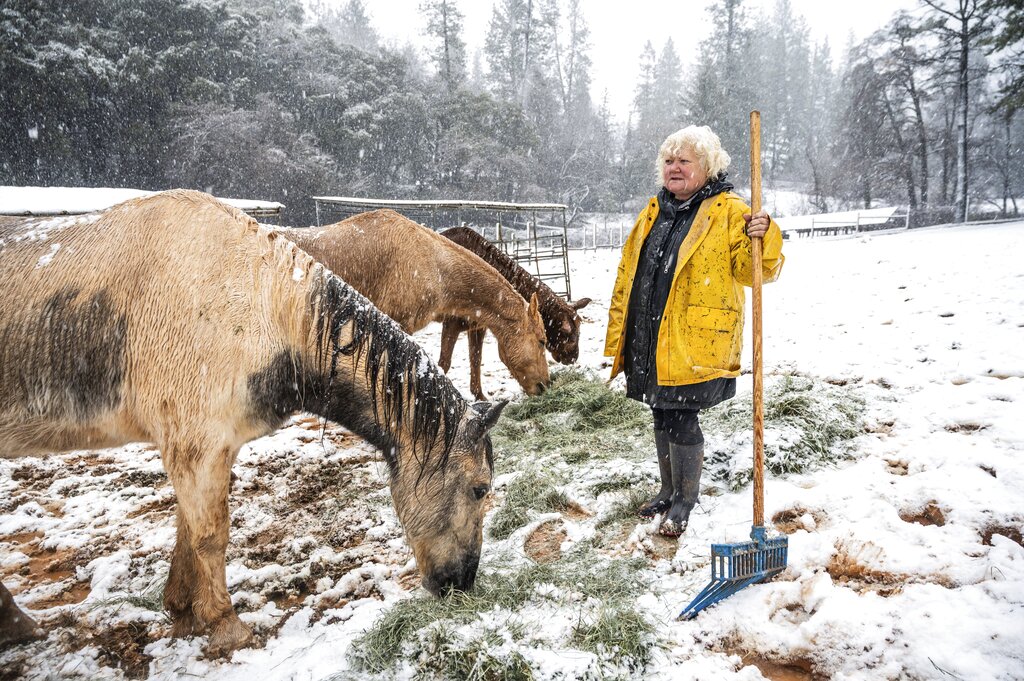Claudia Booth tends to her horses as snow falls on Tuesday, Feb. 28, 2023, near Colfax, Calif.