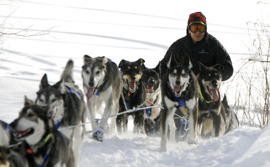 Martin Buser drives his team off of the Takotna River and into the Takotna, Alaska, checkpoint on the Iditarod Trail Sled Dog Race