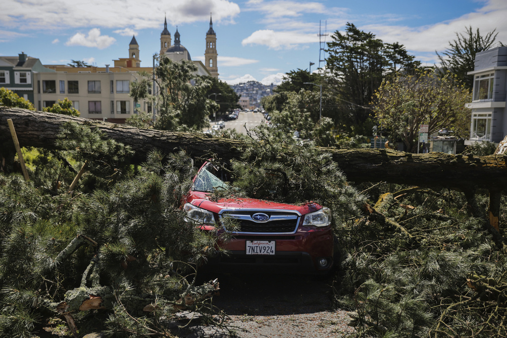 A tree lies on a car on Parker Avenue after heavy rainstorms, Wednesday, March 22, 2023, in San Francisco.