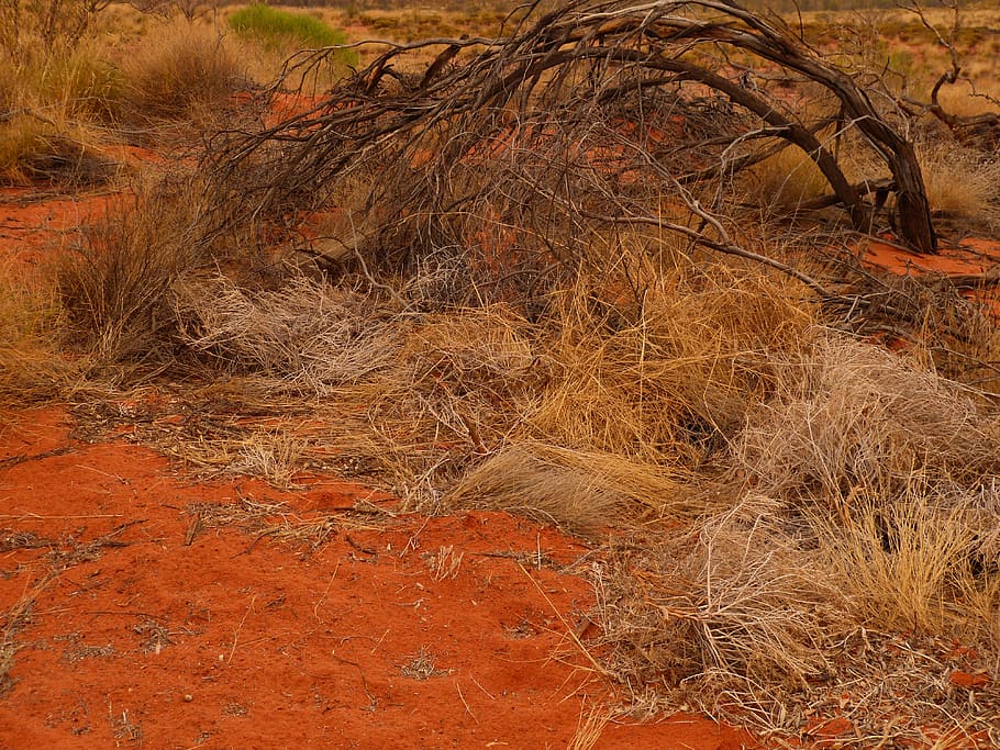 Australian Drought