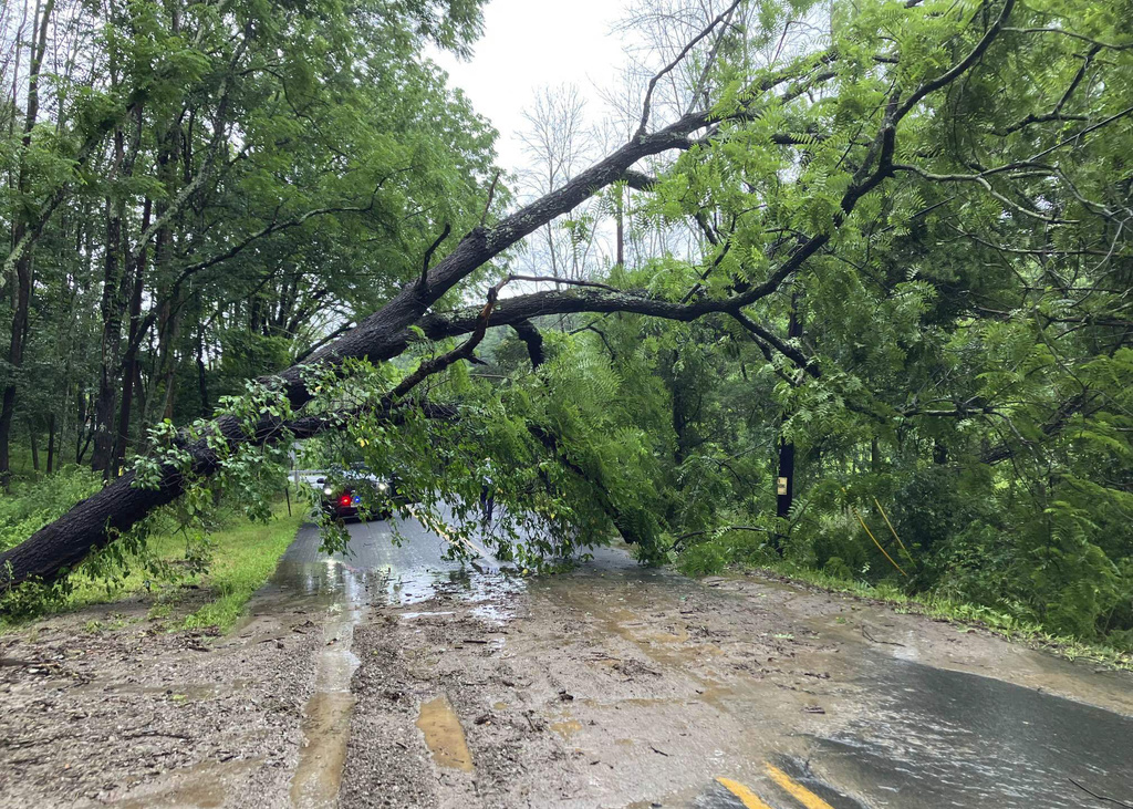 Flooding and a partially fallen tree in Hope, N.J.
