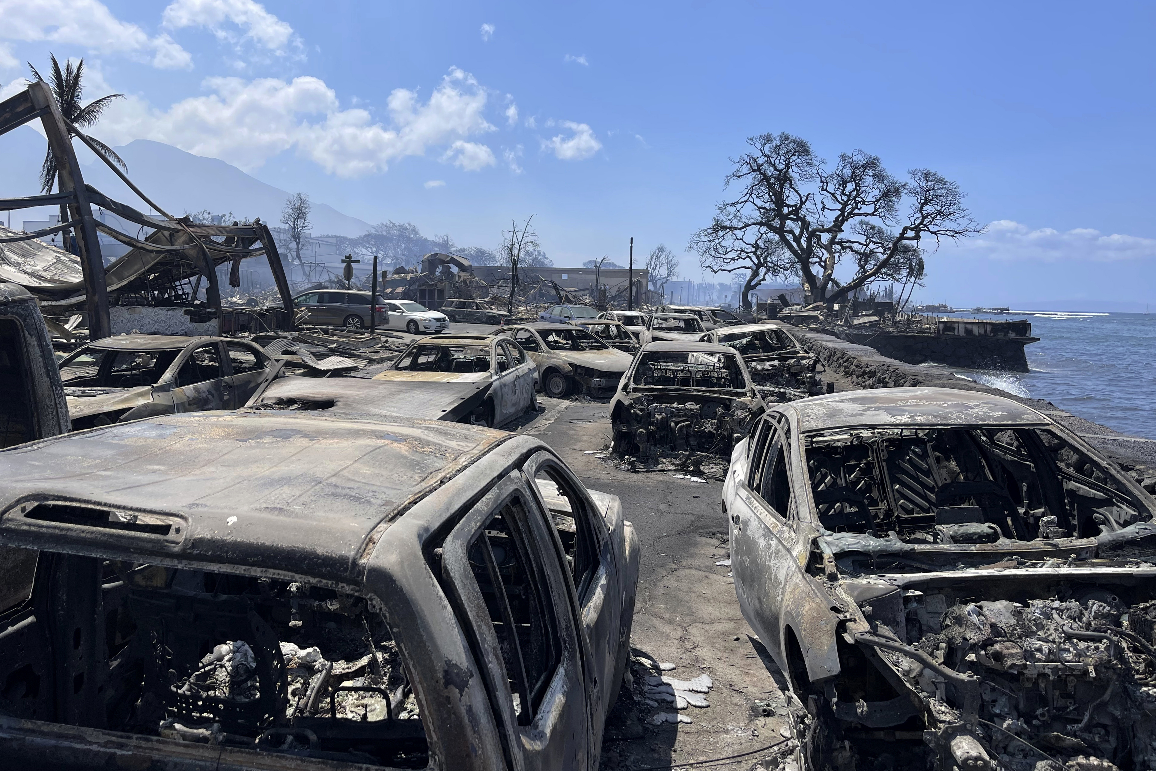 Burned-out cars sit after a wildfire raged through Lahaina, Hawaii