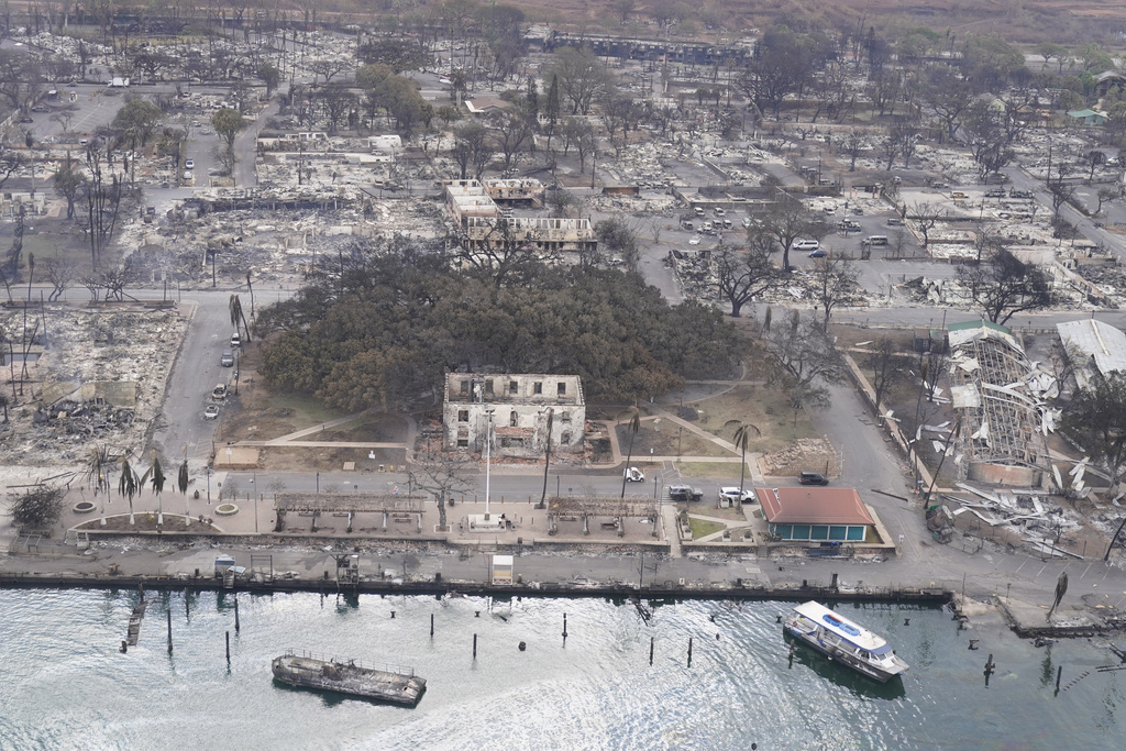 A banyan tree rises among the Wildfire wreckage, Thursday, Aug. 10, 2023, in Lahaina, Hawaii. 