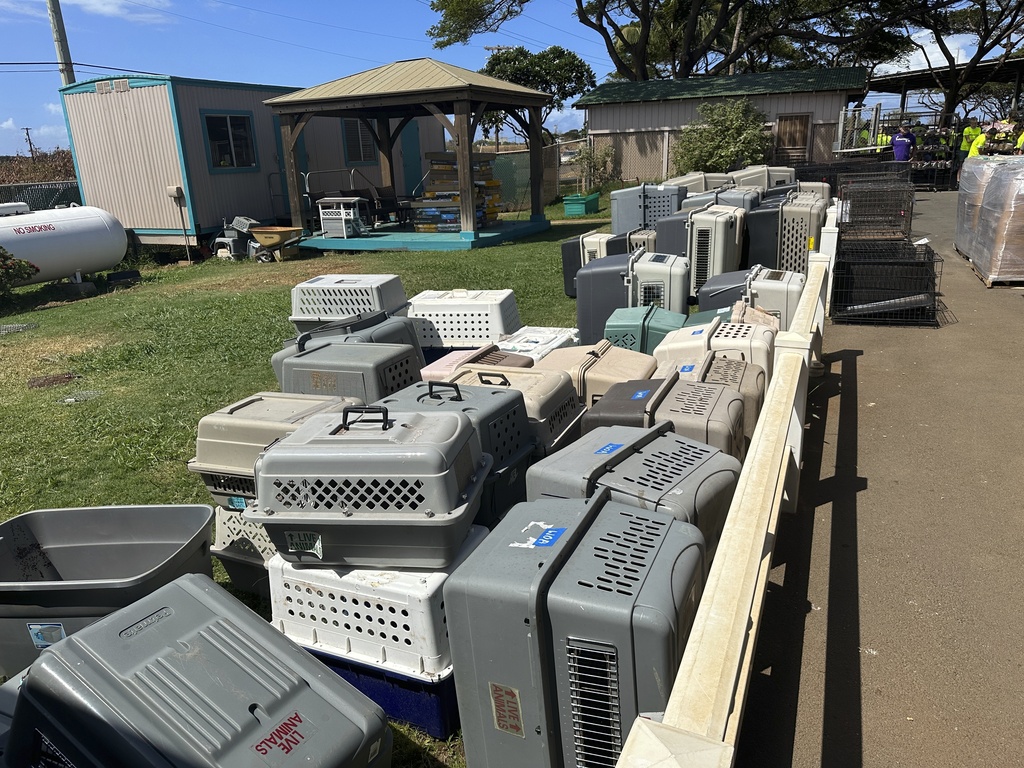 Pet carriers are stacked outside the Maui Humane Society in Lahaina, Hawaii