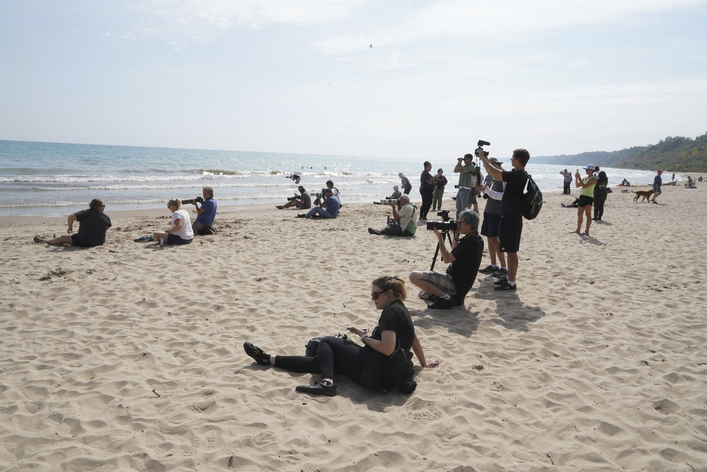 Media and beach goers watch flamingos along a Lake Michigan beach