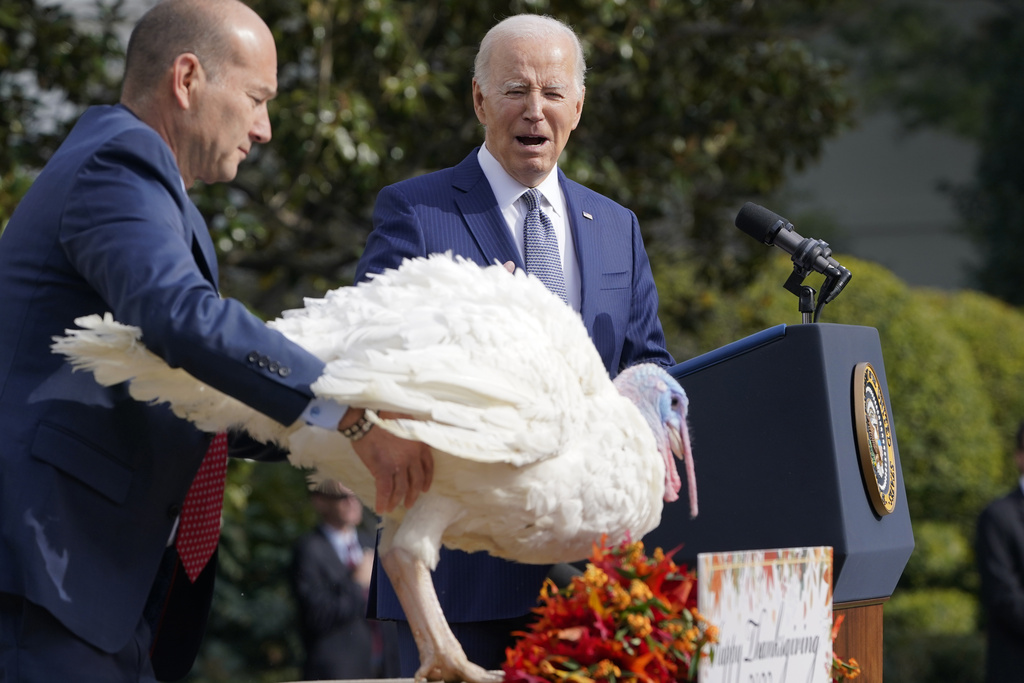 President Joe Biden watches as Jose Rojas, Vice President Live Production at Jennie-O Turkey, left, puts the national Thanksgiving turkey, Liberty, on to a table to be pardoned during a ceremony on the South Lawn of the White House