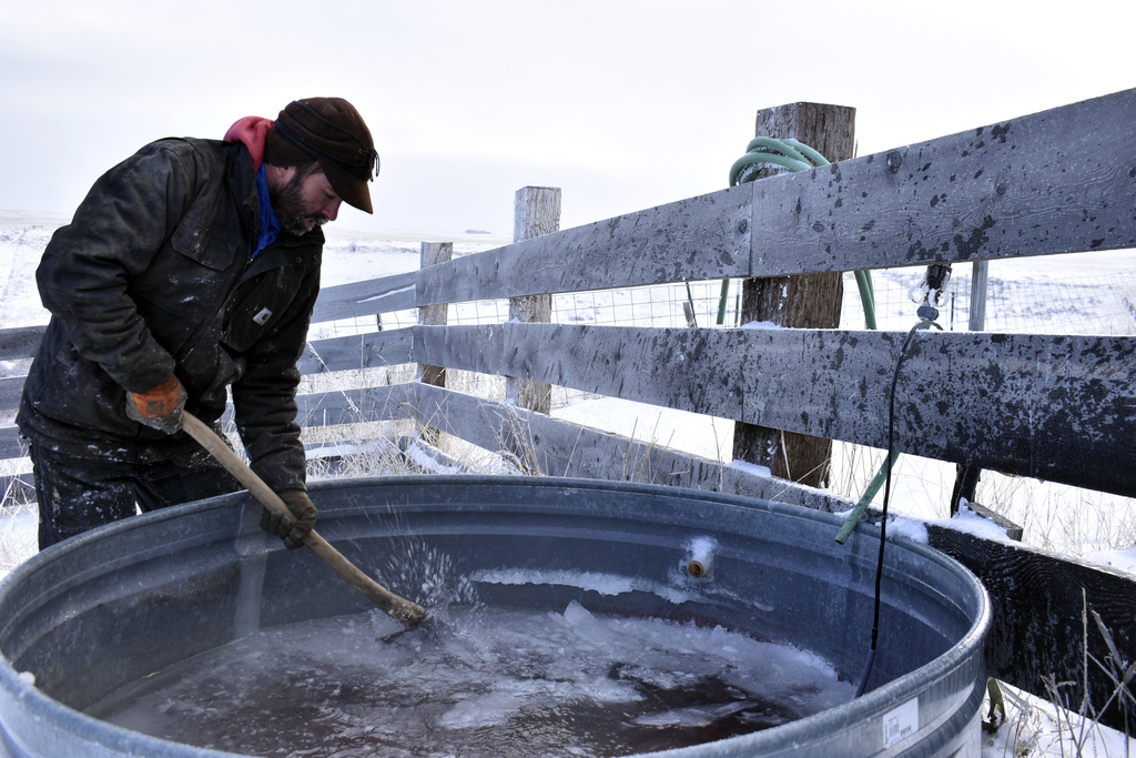 Dangerous Cold, Tricky Travel, Determined Ranchers... And Some Are ...