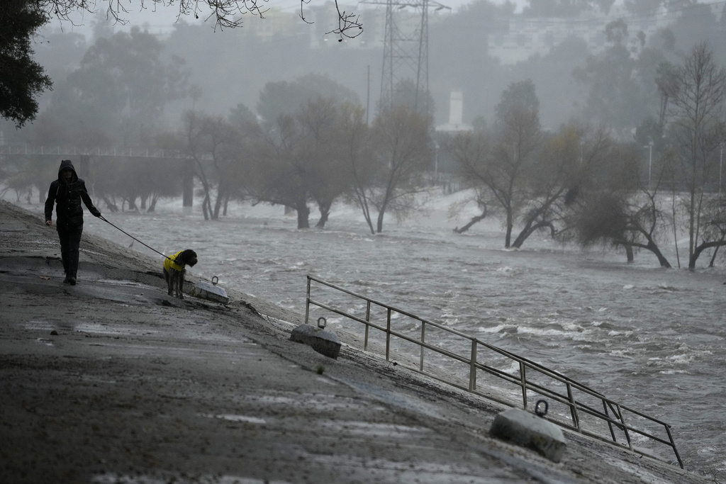 A man walks his dog on the edge of the Los Angeles River, carrying stormwater downstream 