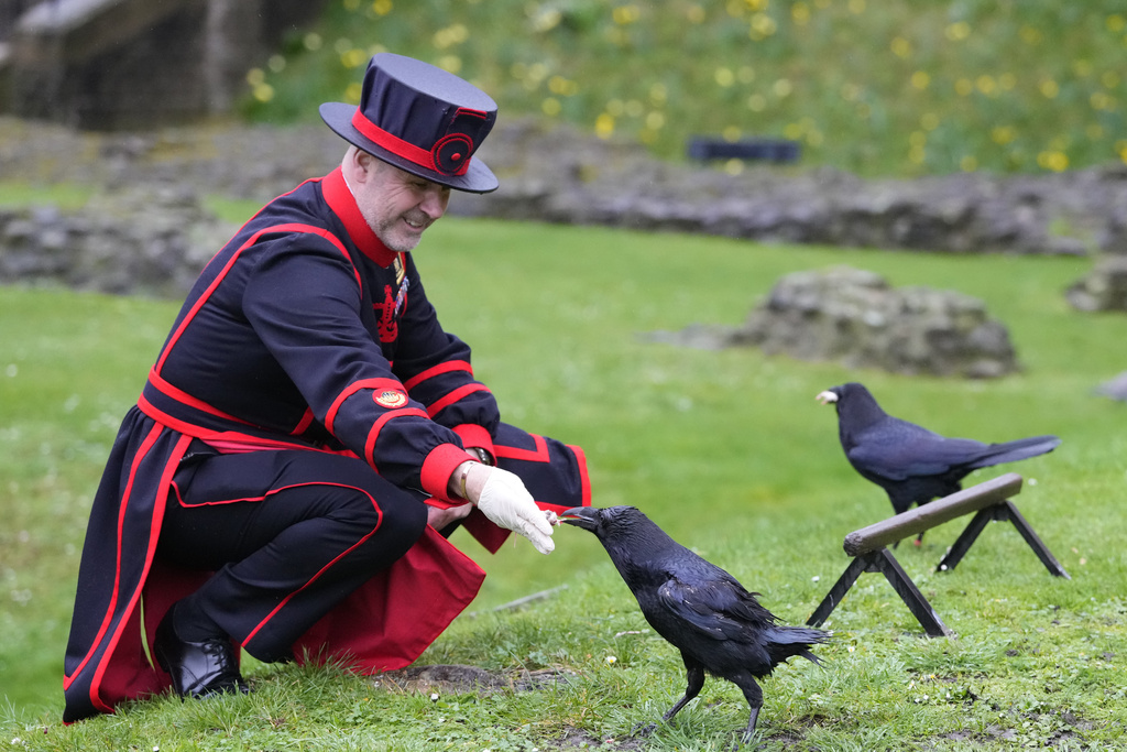 new-ravenmaster-starts-duties-at-tower-of-london-there-s-also-a