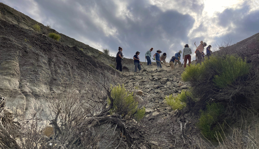 In a scene from the documentary "T.REX," vertebrate paleontologist Tyler Lyson, Natalie Toth and the expedition team begin the work of uncovering a juvenile T. rex in the Hell Creek Formation in North Dakota