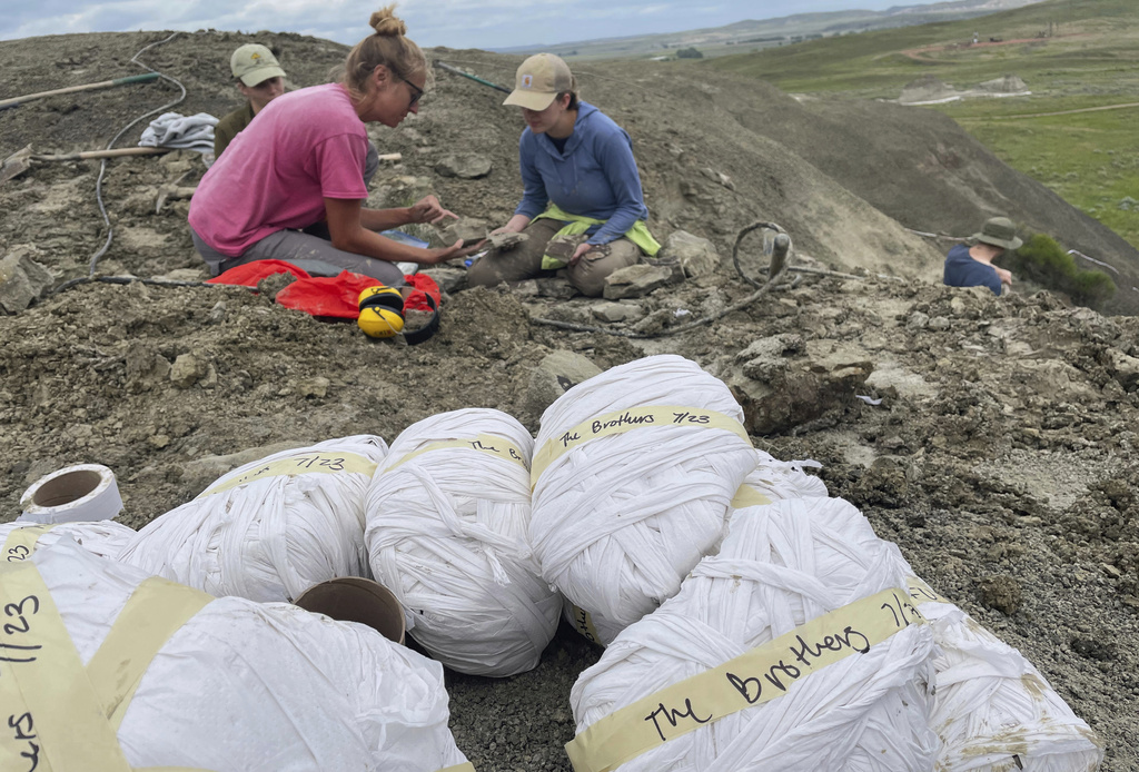 Chief preparator Natalie Toth, left, of the Denver Museum of Nature and Science, examines fossilized plants from the Cretaceous period in a moment captured by the crew of the documentary "T.REX," at a fossil dig site in North Dakota, named “The Brothers”