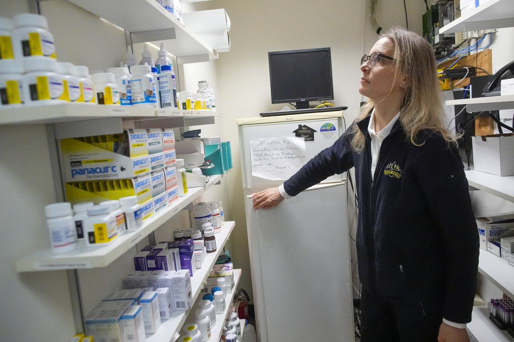 Licensed veterinary technician Jeanine Lunz looks over medical supplies at the City Pets office before leaving for a house call with Dr. Amy Attas
