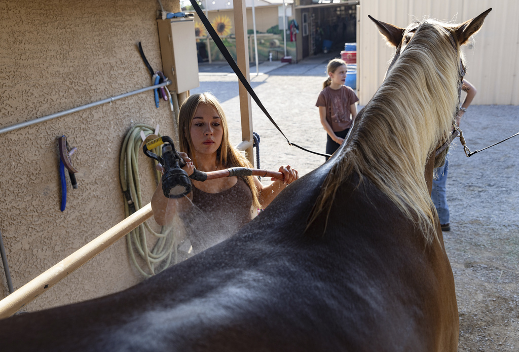 Daydia Pacheco, 16, cools down Remy with a morning shower at Talisman Farm in Las Vegas