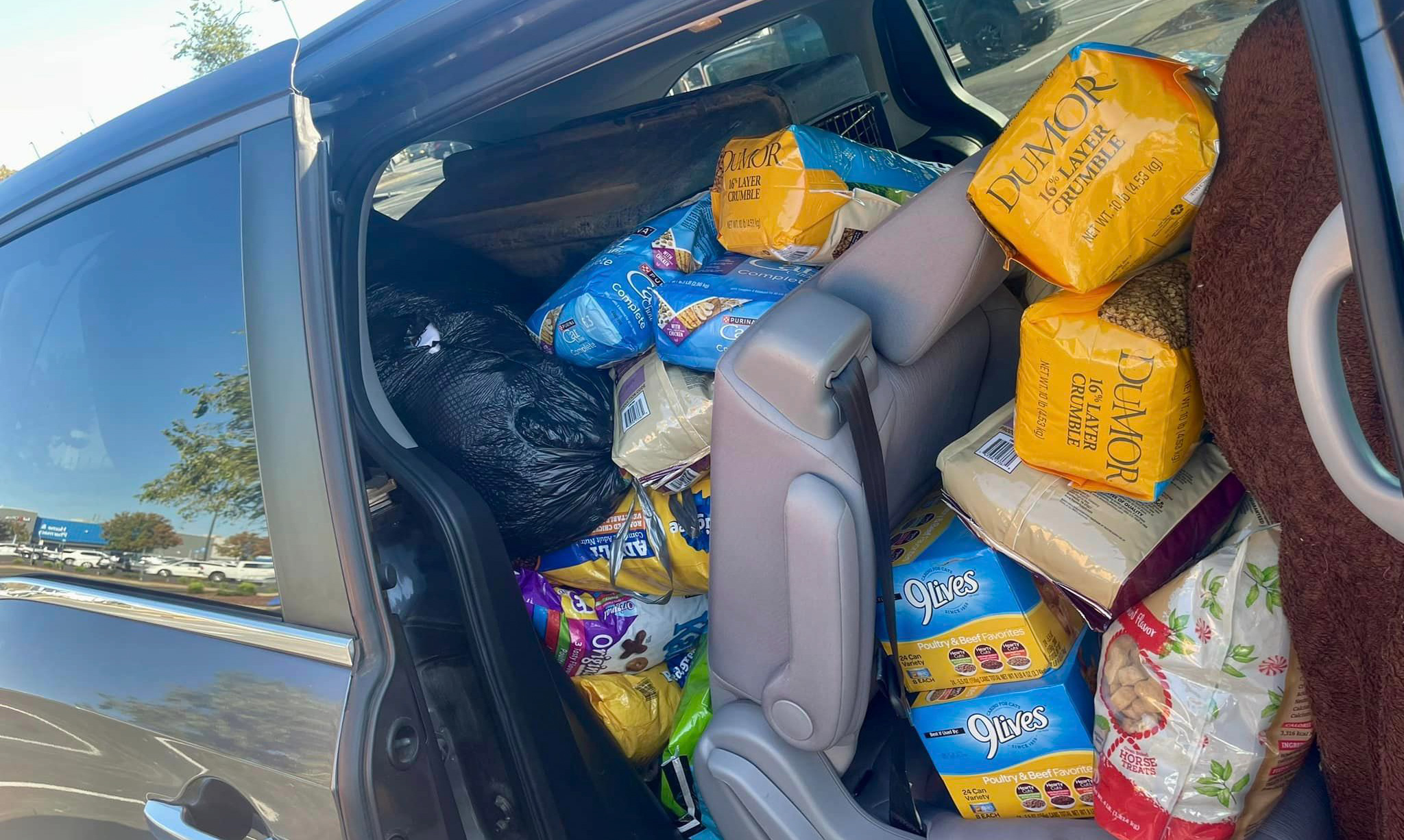 Van filled with pet food