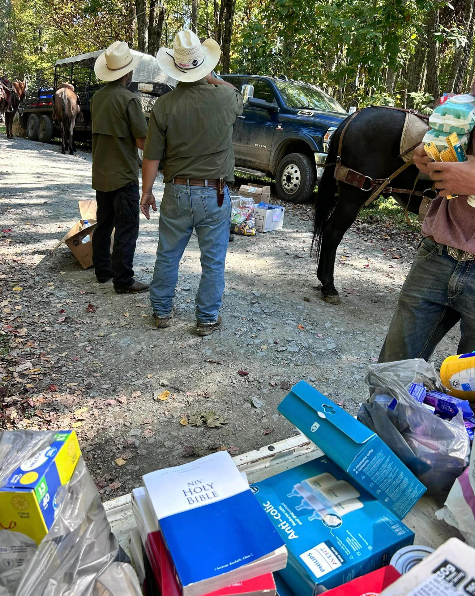 Mule team with supplies, including a Bible and anti-colic for babies