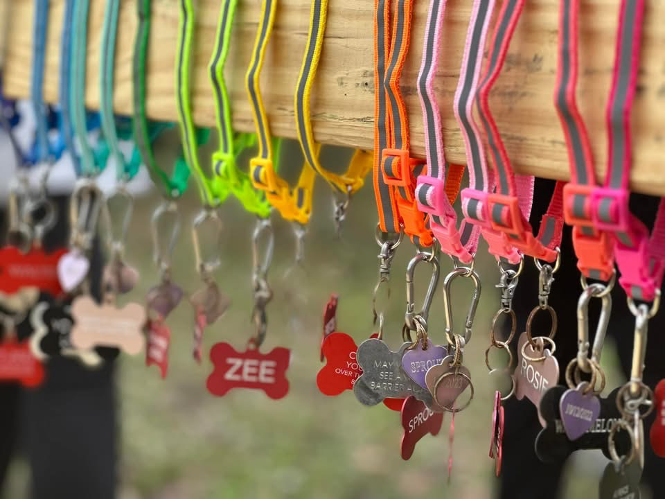 Collars of beloved pets placed on the Rainbow Bridge