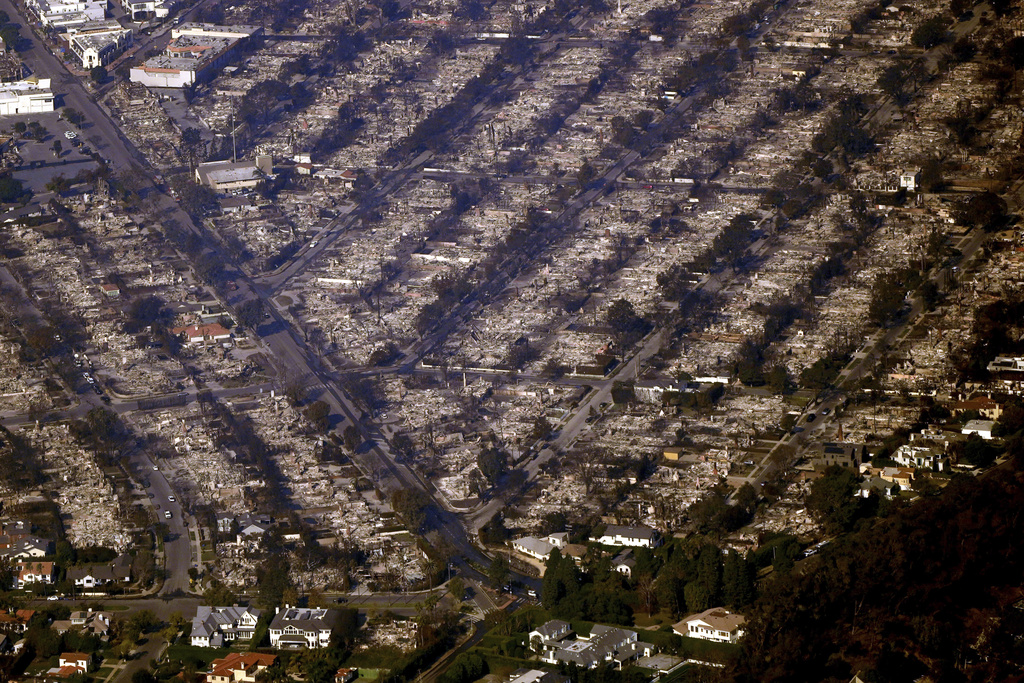 Homes are seen burned while a few still stand in the Pacific Palisades section of Los Angeles