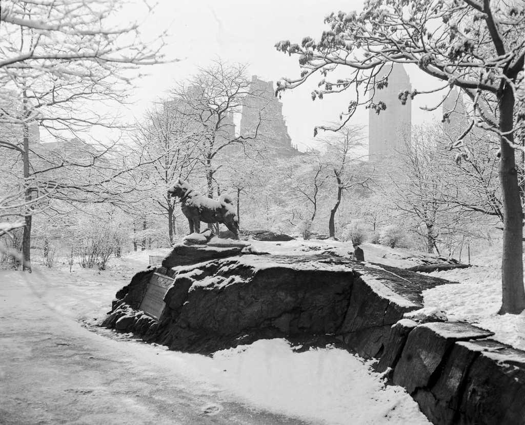 The statue erected to honor "Balto" and other heroic sled dogs who carried serum to Nome, Alaska, through an Arctic blizzard is covered in snow in New York