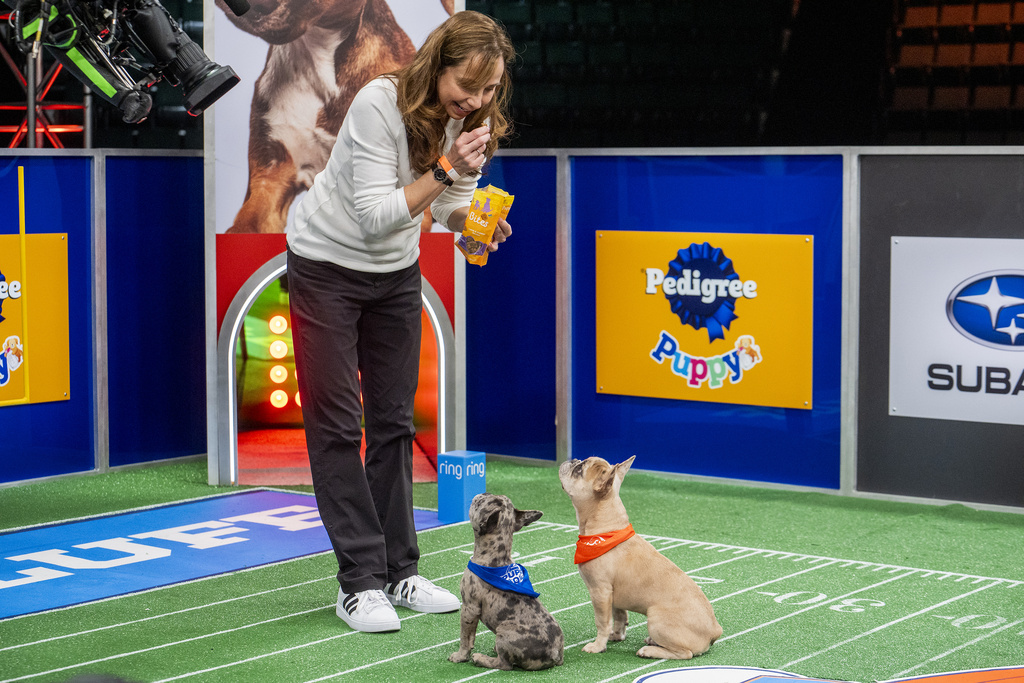 Animal expert Victoria Schade interacting with dogs on the set of "Puppy Bowl XXI," airing Sunday